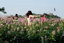 Sa vào chốn này khiến cô gái đẹp quên cả lối về