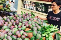 Xoài lạ tím bầm khiến dân Hà thành tò mò muốn thử