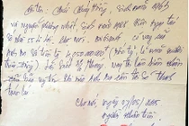 Chủ tiệm vàng báo tin giả vụ bắt người trái phép ở miền Tây