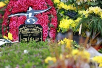 Cận cảnh nơi an nghỉ ngập âm nhạc và hoa của Trần Lập