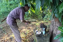 Rùng mình chuyện thợ săn được “ma nữ” cứu sống khỏi vuốt hổ