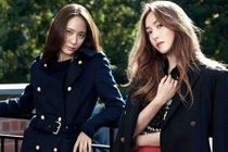 Ngưỡng mộ top con giáp tốt số, đứng đầu mọi lĩnh vực 