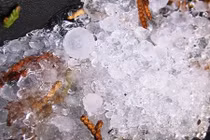 Những sự thật ít người biết về mưa đá