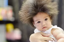 Phụ huynh đua nhau khoe ảnh con có mái tóc dựng đứng