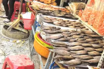 Đặc sản độc lạ “đổ bộ” chợ tết: Ngon nhưng vẫn lo
