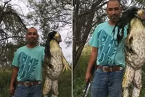 Bắt được ếch “quái vật” khổng lồ chưa từng thấy 