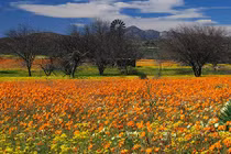 Những vùng đất đẹp như thiên đường trên trái đất