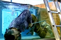 Đồng hồ của người chết vạch mặt kẻ sát nhân kỳ 2