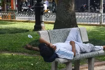 Ảnh: Những giấc ngủ trưa vội lúc Hà Nội nắng nóng thiêu đốt