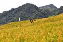 Vẻ đẹp hoang sơ hút hồn ở dãy núi cao nhất Quảng Ngãi