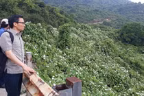 Bất ngờ: Phó Thủ tướng Vũ Đức Đam "vi hành" Sơn Trà