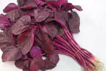 Sai lầm chết người khi ăn rau dền bạn phải bỏ ngay