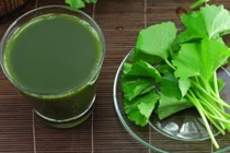 Suýt chết vì cốc nước rau má ngày Tết