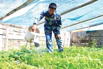 Tốt nghiệp ĐH Ngoại thương, tình nguyện ra Trường Sa