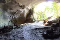 Rùng rợn 3 ngôi mộ cổ bị trói giữa rừng Cúc Phương