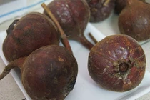 Top 6 loại trái rừng siêu ngon đang được săn lùng