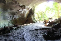 Rùng rợn 3 ngôi mộ cổ bị trói giữa rừng Cúc Phương