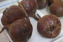 Top 6 loại trái rừng siêu ngon đang được săn lùng