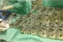 Cách trị chồng “thần thánh” 1-0-2 của cô vợ trẻ 