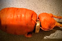 Mất nhẫn vàng, 3 năm sau được củ cà rốt "mang trả"