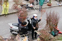 5 chợ hoa nổi tiếng Hà Nội nên ghé thăm trong dịp Tết