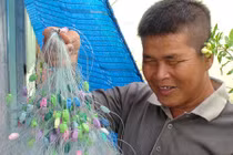 Cuộc sống kỳ lạ của quái kiệt mù trên đảo ma