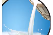 Sai lầm khi uống sữa tươi khiến trẻ bị tiêu chảy