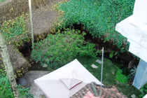 Nhà vườn lịch lãm trắng tinh khôi nổi bật giữa đê sông Hồng