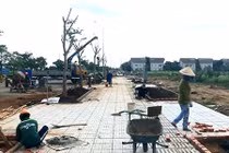 Bất động sản TP HCM: Đất nền phía Đông vào tầm ngắm