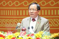 Thực hiện các giải pháp đưa đất nước phát triển nhanh, bền vững