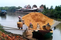 Lạ lùng trấu, rơm Việt Nam bất ngờ trở thành hàng hiếm