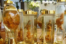 Hầm rượu sâm Ngọc Linh đắt "cắt cổ" của ông trùm đất Quảng Nam