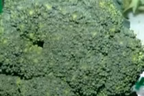 Cách đơn giản phân biệt súp lơ xanh Việt Nam và Trung Quốc 