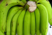 Chữa đau dạ dày hiệu nghiệm bằng chuối tiêu xanh