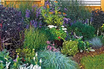 10 thiết kế ngoại cảnh ấn tượng trước và sau khi cải tạo