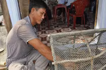 Nghề mưu sinh nơi đáy biển