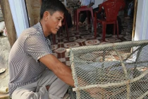 Nghề mưu sinh nơi đáy biển