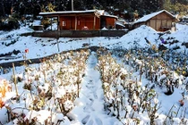 Ngắm tuyết trên những thửa ruộng bậc thang của “nóc nhà Đông Dương“