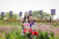 Cánh đồng hoa ngọc hân đẹp ngất ngây giữa lòng Hà Nội