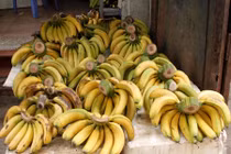 Ăn chuối dấm bằng hương có độc không?