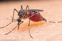 Thử nghiệm vắc xin phòng chống căn bệnh giết chết rất nhiều người