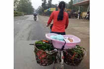 Mẹ đạp xe đi bán rau chở con trong chậu nhựa dậy sóng