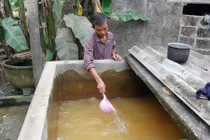 Ám ảnh nguồn nước dùng ở làng 41 người chết vì ung thư