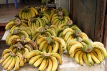 Ăn chuối dấm bằng hương có độc không?