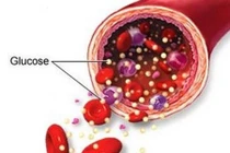 Khi đói bụng thường cáu gắt, tại sao?
