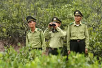 Truy tìm nhóm lâm tặc chém kiểm lâm tử vong ở Lâm Đồng