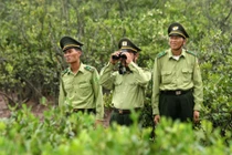 Truy tìm nhóm lâm tặc chém kiểm lâm tử vong ở Lâm Đồng