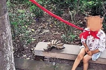 Bức xúc cảnh cậu bé 4 tuổi bị người thân xích cổ 