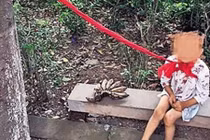 Bức xúc cảnh cậu bé 4 tuổi bị người thân xích cổ 