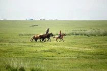 Thảo nguyên Mông Cổ ngày càng vắng bóng người du mục